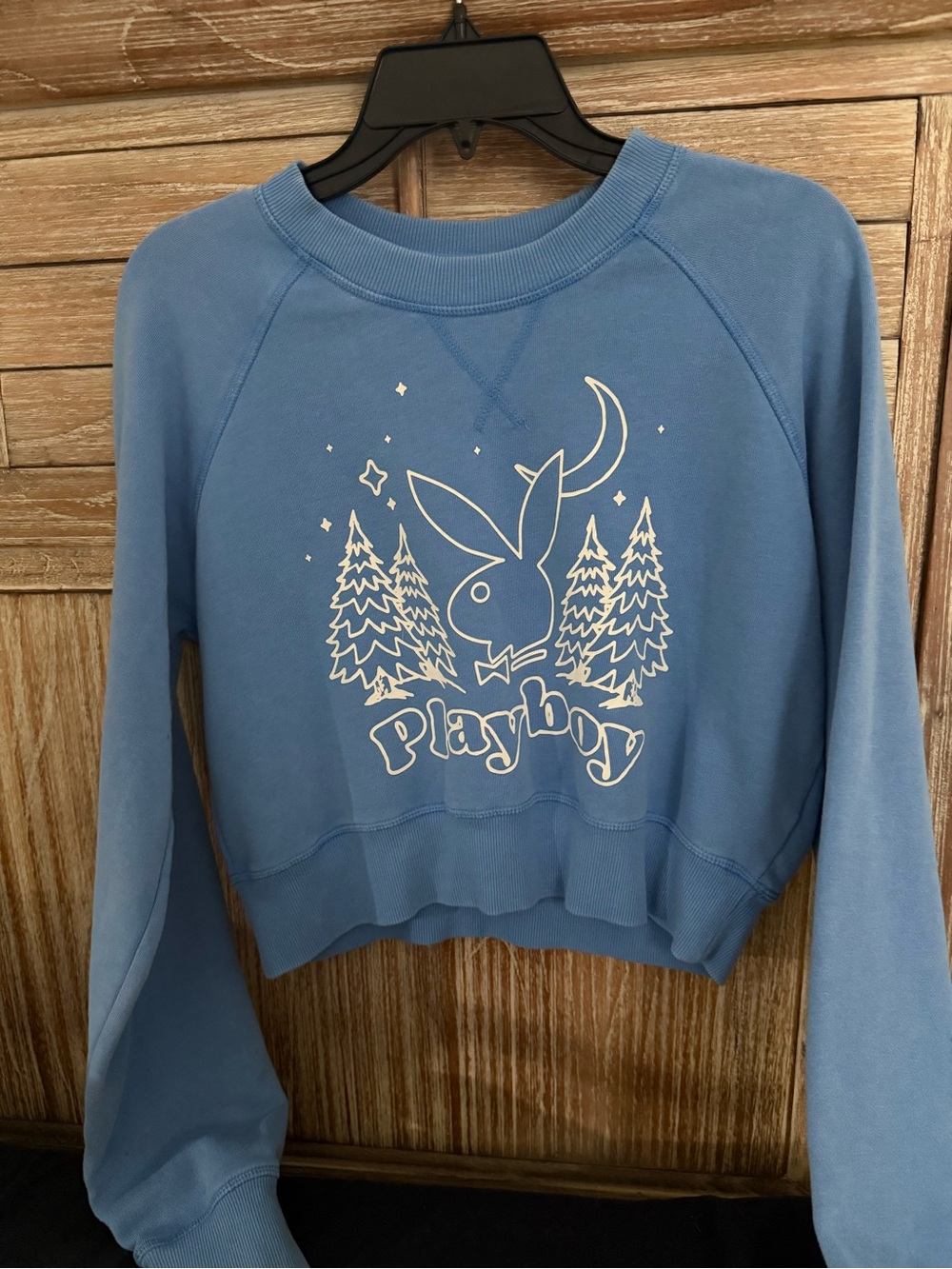 M PLAYBOY x PacSun Light Blue Graphic Crew Sweatshirt